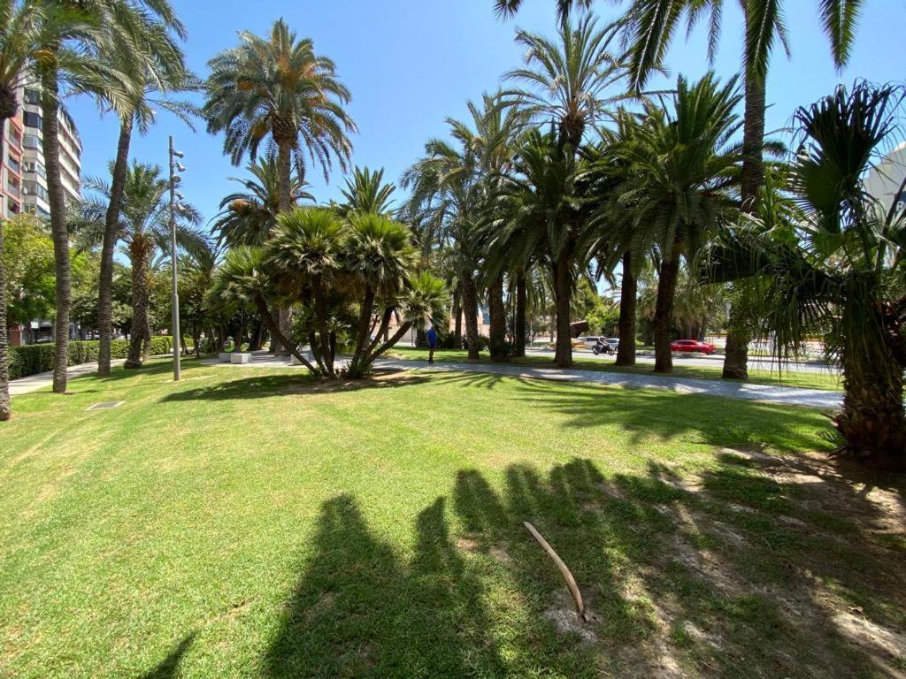 Tropical Loft Lejlighed Alicante Eksteriør billede